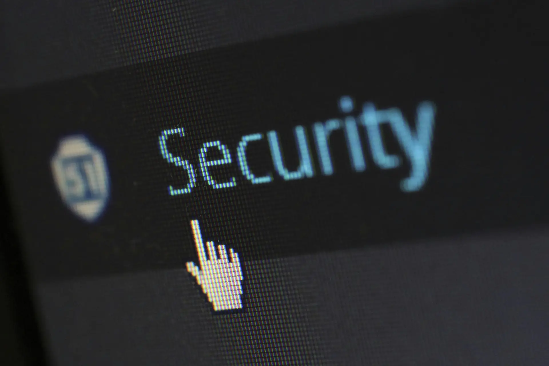 Cybersecurity leader overseeing digital risk management and organizational data protection strategies.